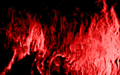 Prominence/Filaments