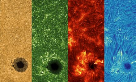 Artistic organization of colored sunspots