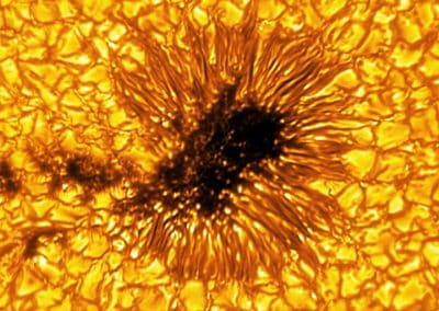 A sunspot is identifiable by its dark, central umbra and surrounding filamentary-structured penumbra. A closer look reveals the presence of nearby umbral fragments - essentially, a sunspot that’s lost its penumbra. These fragments were previously a part of the neighboring sunspot, suggesting that this may be the “end phase” of a sunspot’s evolution. While this image shows the presence of umbral fragments, it is extraordinarily rare to capture the process of a penumbra forming or decaying. Umbra: Dark, central region of a sunspot where the magnetic field is strongest. Penumbra: The brighter, surrounding region of a sunspot’s umbra characterized by bright filamentary structures. Image Title: Umbral Fragments Suggest the “End Phase” of a Sunspot PID: PID_1_22 Large Field of View: 30,720km x 30,720km Image Credit: NSF/AURA/NSO Image Processing: Friedrich Wöger(NSO), Catherine Fischer (NSO) Science Credit: Jaime de la Cruz Rodriguez (Stockholm University)