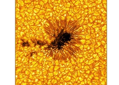 A sunspot is identifiable by its dark, central umbra and surrounding filamentary-structured penumbra. A closer look reveals the presence of nearby umbral fragments - essentially, a sunspot that’s lost its penumbra. These fragments were previously a part of the neighboring sunspot, suggesting that this may be the “end phase” of a sunspot’s evolution. While this image shows the presence of umbral fragments, it is extraordinarily rare to capture the process of a penumbra forming or decaying. Umbra: Dark, central region of a sunspot where the magnetic field is strongest. Penumbra: The brighter, surrounding region of a sunspot’s umbra characterized by bright filamentary structures. Image Title: Umbral Fragments Suggest the “End Phase” of a Sunspot PID: PID_1_22 Large Field of View: 30,720km x 30,720km Image Credit: NSF/AURA/NSO Image Processing: Friedrich Wöger(NSO), Catherine Fischer (NSO) Science Credit: Jaime de la Cruz Rodriguez (Stockholm University)