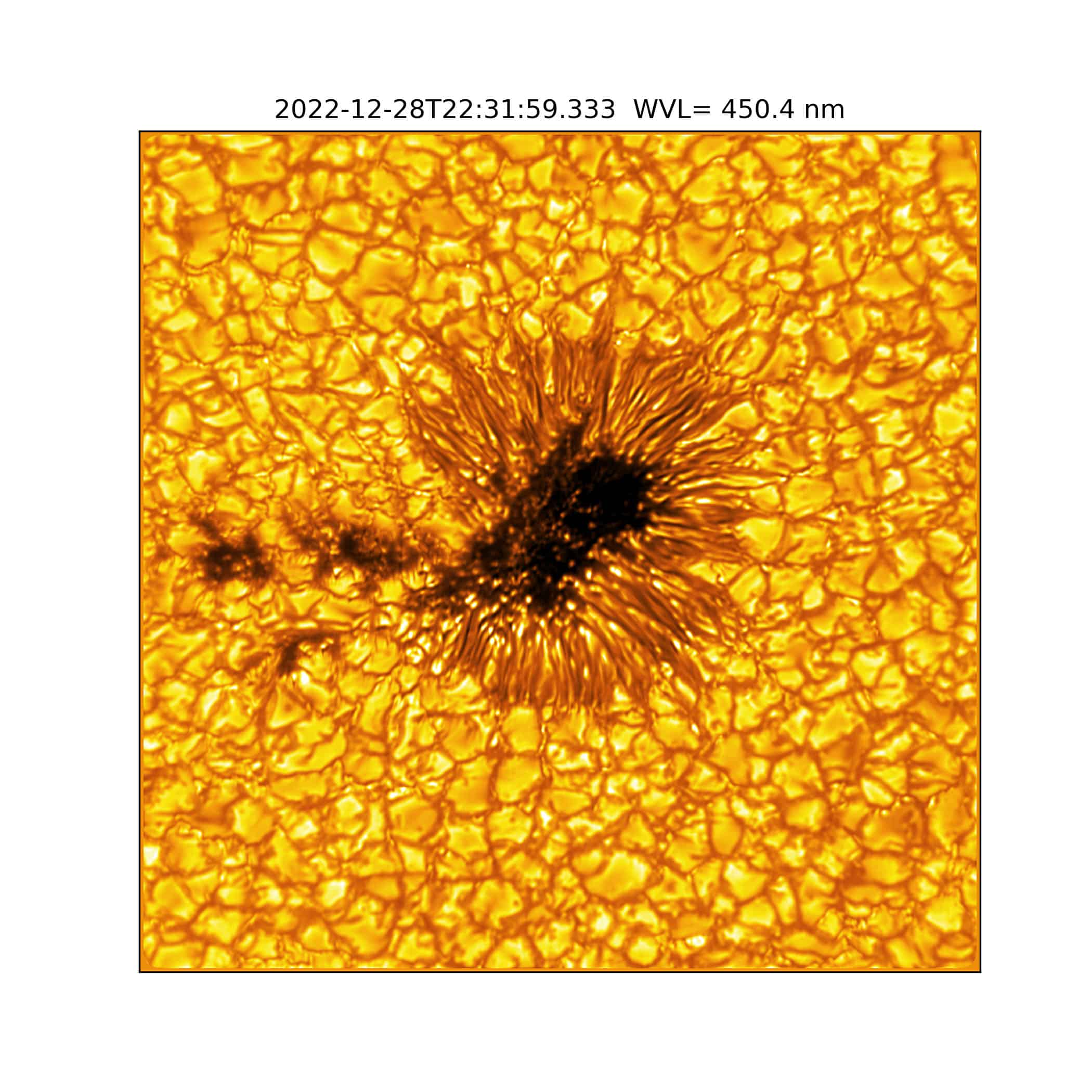 A sunspot is identifiable by its dark, central umbra and surrounding filamentary-structured penumbra. A closer look reveals the presence of nearby umbral fragments - essentially, a sunspot that’s lost its penumbra. These fragments were previously a part of the neighboring sunspot, suggesting that this may be the “end phase” of a sunspot’s evolution. While this image shows the presence of umbral fragments, it is extraordinarily rare to capture the process of a penumbra forming or decaying. Umbra: Dark, central region of a sunspot where the magnetic field is strongest. Penumbra: The brighter, surrounding region of a sunspot’s umbra characterized by bright filamentary structures. Image Title: Umbral Fragments Suggest the “End Phase” of a Sunspot PID: PID_1_22 Large Field of View: 30,720km x 30,720km Image Credit: NSF/AURA/NSO Image Processing: Friedrich Wöger(NSO), Catherine Fischer (NSO) Science Credit: Jaime de la Cruz Rodriguez (Stockholm University)