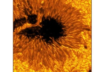 A detailed example of a light bridge crossing a sunspot’s umbra. In this picture, the presence of convection cells surrounding the sunspot is also evident. Hot solar material (plasma) rises in the bright centers of these surrounding “cells,” cools off, and then sinks below the surface in dark lanes in a process known as convection. The detailed image shows complex light bridge and convection cell structures on the Sun's surface or photosphere. Light bridge: A bright solar feature that spans across an umbra from one penumbra to the other. It is a complex structure, taking different forms and phases, and is believed to be the signature of the start of a decaying sunspot. Umbra: Dark, central region of a sunspot where the magnetic field is strongest. Image Title: Properties of Convection Cells and Light Bridge Seen Around a Sunspot PID: PID_1_29 Large Field of View: 30,720km x 30,720km Image Credit: NSF/AURA/NSO Image Processing: Friedrich Wöger(NSO), Catherine Fischer (NSO) Science Credit: Philip Lindner at Leibniz-Institut für Sonnenphysik (KIS)