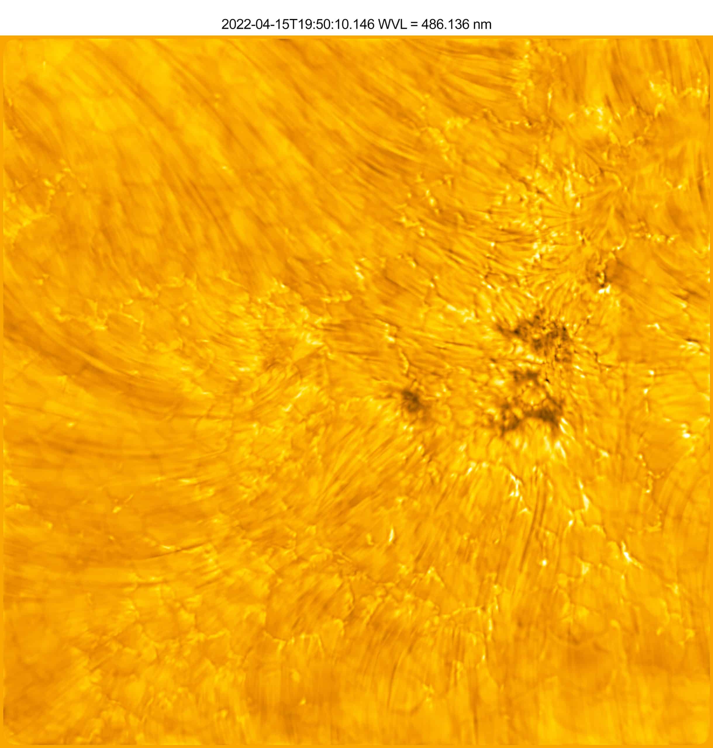 The lower atmosphere (chromosphere) of the Sun exists above the Sun’s surface (photosphere). In this image, dark, fine threads (fibrils) are visible in the chromosphere emanating from sources in the photosphere - notably, the dark pores/umbral fragments and their fine structure. A pore is a concentration of magnetic field where conditions are not met to form a penumbra. Pores are essentially sunspots that have not had or will never have a penumbra. Penumbra: The brighter, surrounding region of a sunspot’s umbra characterized by bright filamentary structures. Image Title: Pores/Umbral Fragments, Fibrils, and other Fine-Structure in the Sun’s Atmosphere and Surface PID: PID_1_16 Large Field of View: 30,720km x 30,720km Image Credit: NSF/AURA/NSO Image Processing: Friedrich Wöger(NSO), Catherine Fischer (NSO) Science Credit: Juan Martínez-Sykora (Bay Area Environmental Research Institute)