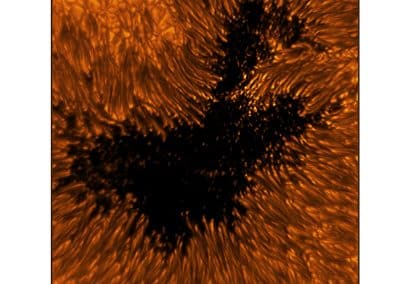 This image reveals the fine structures of a sunspot in the photosphere. Within the dark, central area of the sunspot’s umbra, small-scale bright dots, known as umbral dots, are seen. The elongated structures surrounding the umbra are visible as bright-headed strands known as penumbral filaments. Umbra: Dark, central region of a sunspot where the magnetic field is strongest. Penumbra: The brighter, surrounding region of a sunspot’s umbra characterized by bright filamentary structures. Image Title: Sunspot Umbral Dots and Penumbral Filaments in Detail PID: PID_1_27 Large Field of View: 30,720km x 30,720km Image Credit: NSF/AURA/NSO Image Processing: Friedrich Wöger(NSO), Catherine Fischer (NSO) Science Credit: Rolf Schlichenmaier at Leibniz-Institut für Sonnenphysik (KIS)