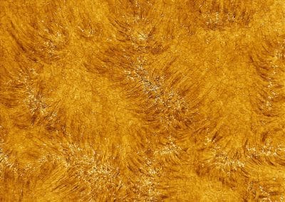 Plages in the chromosphere of the Sun. Credit: NSO/AURA/NSF