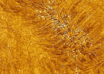 Magnetic fields in solar plage regions: insights from high-sensitivity spectropolarimetry