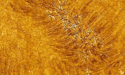 Plages in the chromosphere of the Sun. Credit: NSO/AURA/NSF