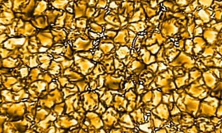 Small-scale magnetic structures of the ‘quiet Sun’ at high resolution captured by DKIST