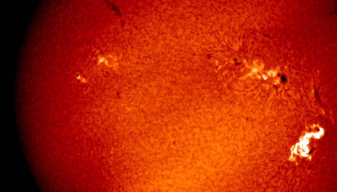 Harnessing AI for Space Weather Forecasting with NSF GONG Data