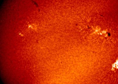 Harnessing AI for Space Weather Forecasting with NSF GONG Data